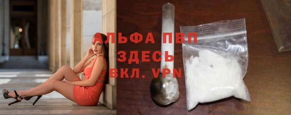 шишки Богородицк