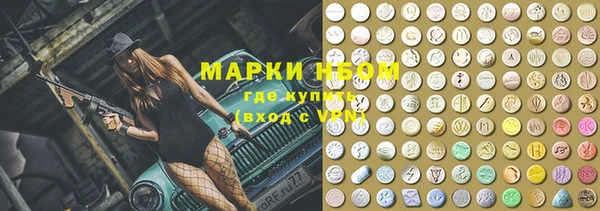 шишки Богородицк