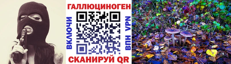 Галлюциногенные грибы Psilocybine cubensis Дрезна